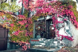 格拉纳达主场荣耀：一场胜利，一座奖杯，一个传奇的诞生