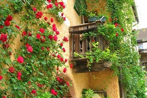 发挥失常！强队遭遇联赛首败