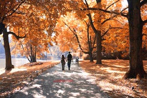 决战紫禁之巅，悬念迭起！联赛冲刺，谁主沉浮？