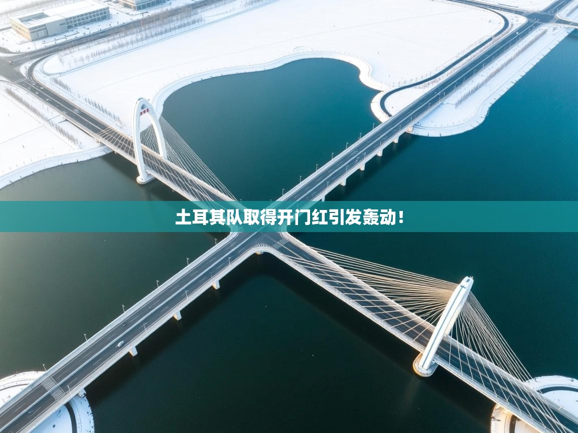 土耳其队取得开门红引发轰动！  第2张